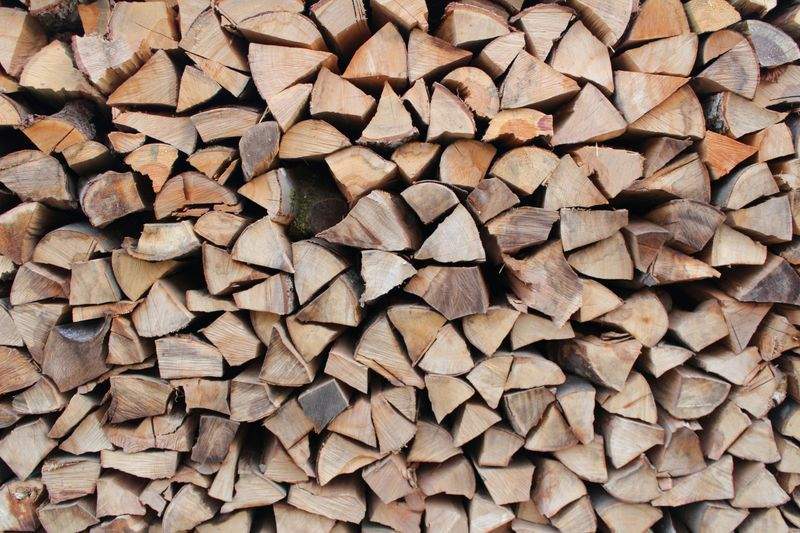 木工初心者工房 - Image 1