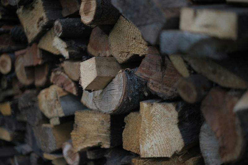 木工初心者工房 - Image 14