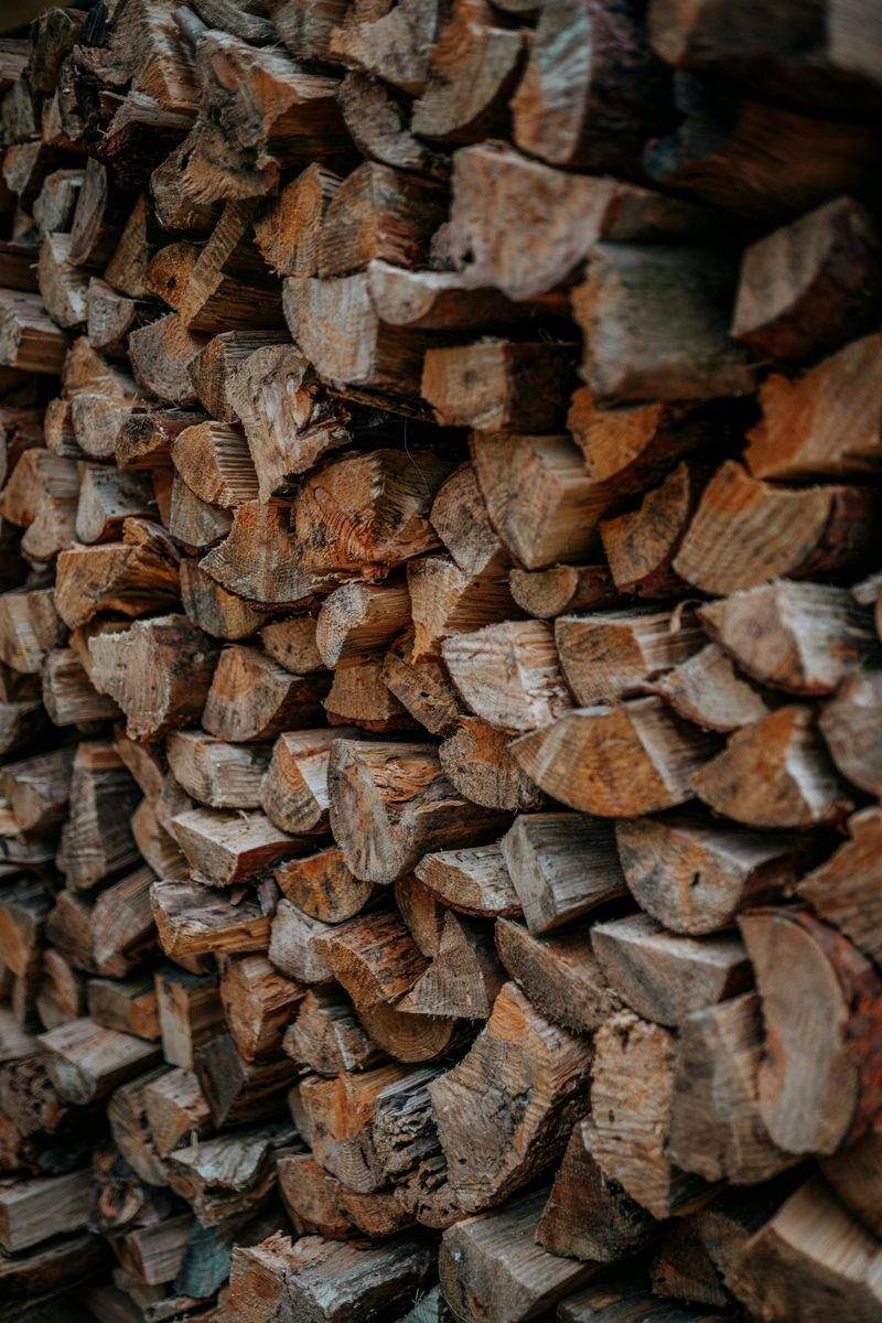 木工初心者工房 - Image 5