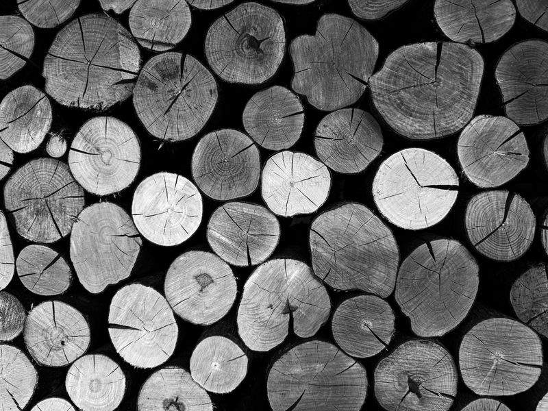 木工初心者工房 - Image 9